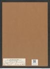 Triceratium janischii Truan et Witt. (de-Toni-Nr.: Genus 148, Species 4103*) Zeichnungen Sammlung Grunow Mappe 04108 (Herbarium_W_Grunow_drawings_Folder_04108)